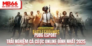 PUBG Esport - Trải Nghiệm Cá Cược Online Đỉnh Nhất 2025